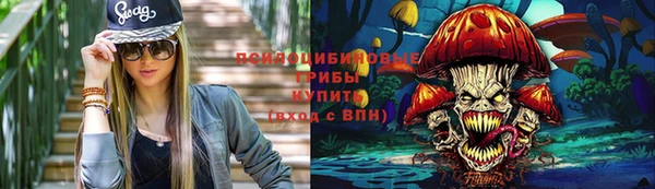 круглые Аркадак