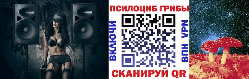 Галлюциногенные грибы Psilocybe Вилюйск